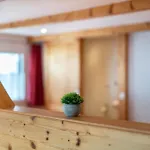Haus Schoeneck Apartmán
