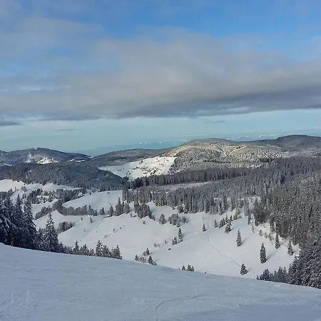 Haus Schoeneck Апартаменты Тодтнауберг