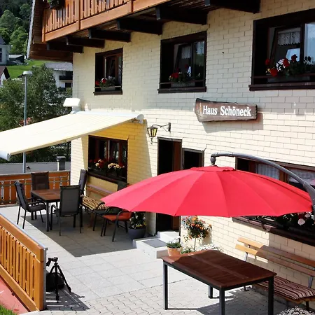 Apartment Haus Schoeneck Todtnauberg