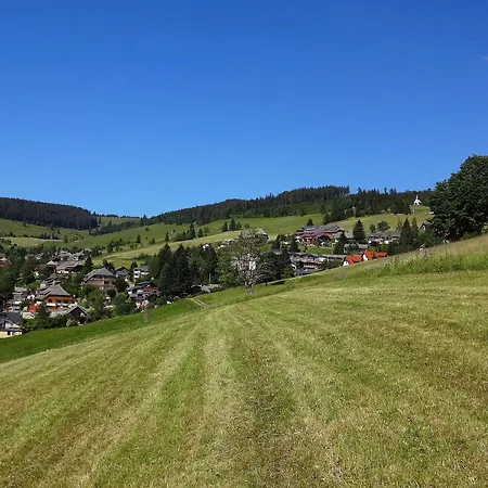 Apartment Haus Schöneck *