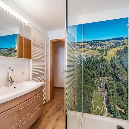 Haus Schoeneck Тодтнауберг